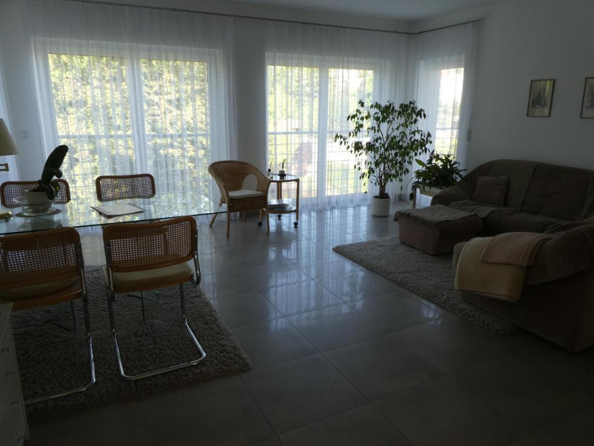 Grosszuegige,Zetrumsnahe Wohnung Dresda Esterno foto